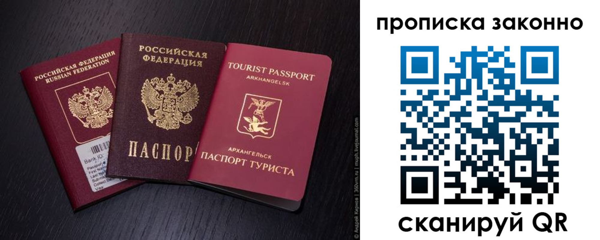 прописка штамп в Коми